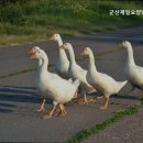 군산제일요양병원 이미지