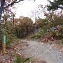 우암목장 이미지