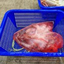 대운수산 - 강남구 압구정로29길 72-1 | 대운수산