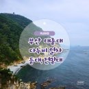 편의점 자갈마당 | 부산 태종대 다누비열차 시간, 요금, 코스, 할인 총정리 야간주차꿀팁
