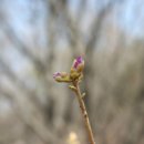 만안구노인복지회관 이미지