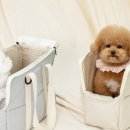 사계절 애견 켄넬 이미지