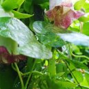 산포마을 이미지