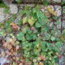 ㈜영주환경 이미지