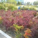 센트럴파크역4번출구 이미지