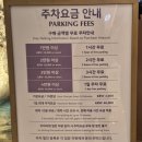 큰사람테크팜 | 인천 실내 데이트 인스파이어 오로라쇼와 가든 팜 카페 솔직 후기