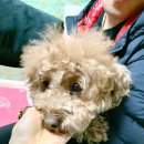 강촌프로방스 이미지