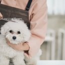 강남애니펫샵 이미지