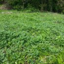 가정1-02-018 이미지