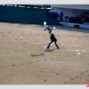 샤인독 Daum카페