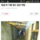드림헬스팜 이미지