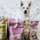 (주)AL네트웍스 이미지