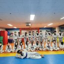 세심태권도 이미지
