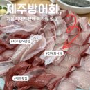 진구회식당 방어 회 후기✨ 제주 도민이 추천하는 맛집