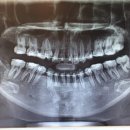 서울미소진치과의원 이미지