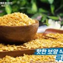 빈푸드 네이버블로그