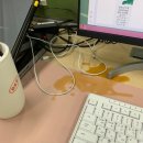 두리랑가든 | 나의 정원이 끝나는 날까지