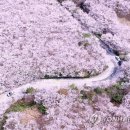 중앙유통단지 이미지