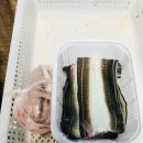 바다그리다 이미지