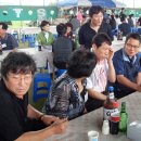업성초등학교 - 1655 | 업성초등학교