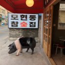 모현동-25 이미지