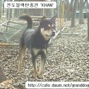 호구