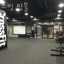 크로스핏 핏불 이미지