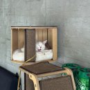 울산 언양 작천정 브런치 카페 자연과 동물이 살아 숨 쉬는 “유와백가” 후기