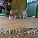 고재완 농장 이미지