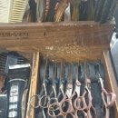 봉쥬르 살롱 이미지