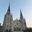 호텔 세느 | [호텔 세느] 내돈내산 역삼역, 언주역 근처 가성비 호텔 후기