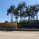 동화마을생태공원 게이트볼장 | [인천 서구] 청라해변공원캠핑장