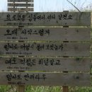 와보랑께 박물관 이미지