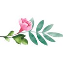 콩냥카페 이미지