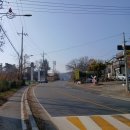 철새보러가는길 | 강화: 철새보러가는길(나들길8코스)