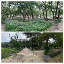 다숲민박 | 남해 앵강만의 “앵강다숲”을 다녀 와서