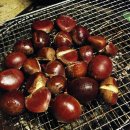 정재농장 이미지