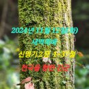 2024년 11월 12일(화) 새벽예배 신명기 2장 1~37절 천국을 향한 진군 이미지