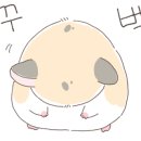 연세대 태권도장 이미지