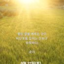 9월 21일(토)아침을 여는 건강한 에코힐링(글 전체보기는 글주소 클릭!) 이미지