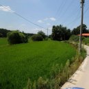 세종로공인중개사사무소 이미지