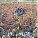 임실전통한과 이미지