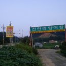 천안리양어장