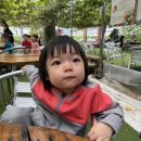 5월 3주 모아베리 딸기농장 견학 🍓 이미지