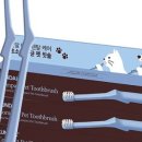 이지덴탈 이미지