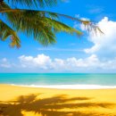 키움저축은행 이미지