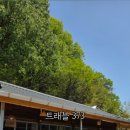 트래블373 이미지