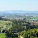 해운로 | 서산 한우목장 웰빙산책로 무료 반려견 산책 명소 개심사 근처