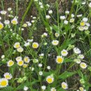 그 사람의 별장 이미지