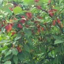 와동목장 이미지